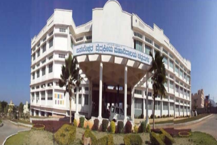 Basaveswara Medical College and Hospital, Chitradurga